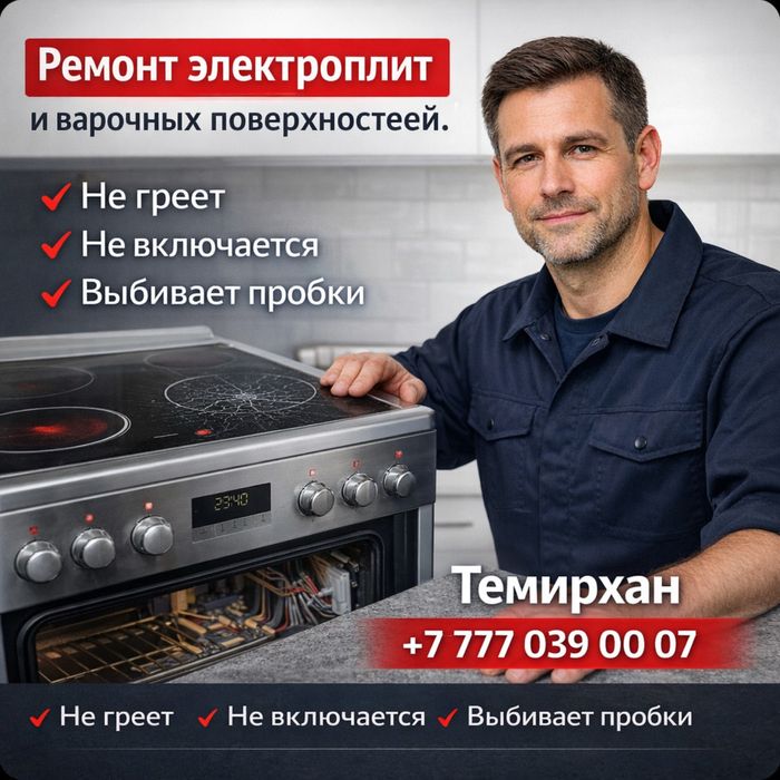 Ремонт пиццы печи , электроплит