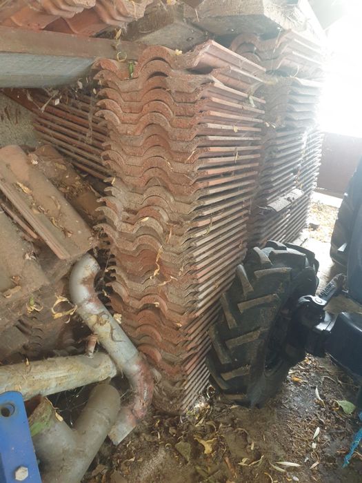 Car cu boi autentic.Tigle Elpreco