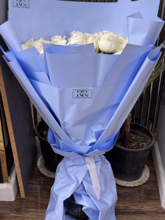 Цветы  белая роза