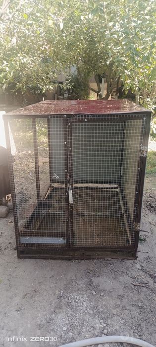 Tovuq katak sotiladi