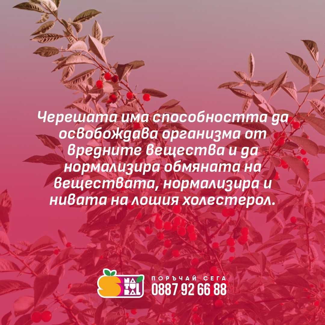 100% Студено пресован натурален сок от череши гр. Стара Загора Център ...