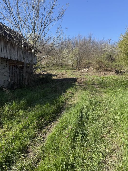 Vând Proprietate  / comuna Sichevita