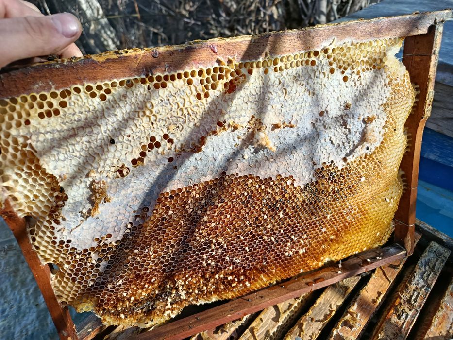 Сушь и рамки для пчел