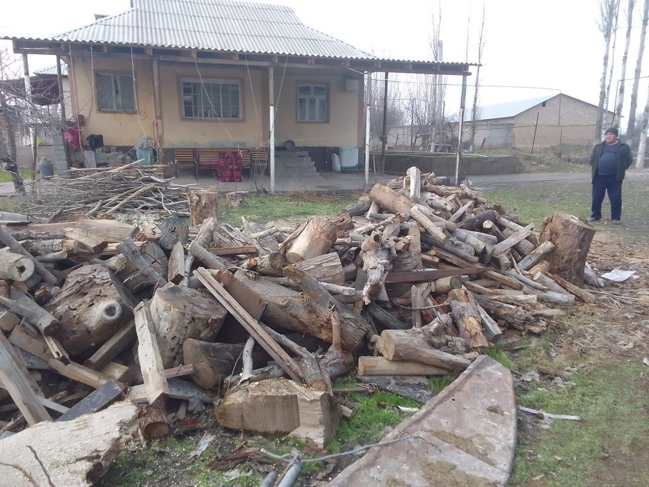 Otin sotiladi, келиштириб бераман