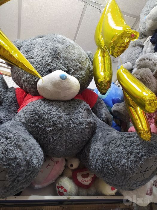 Teddy 1yarim metirlisi