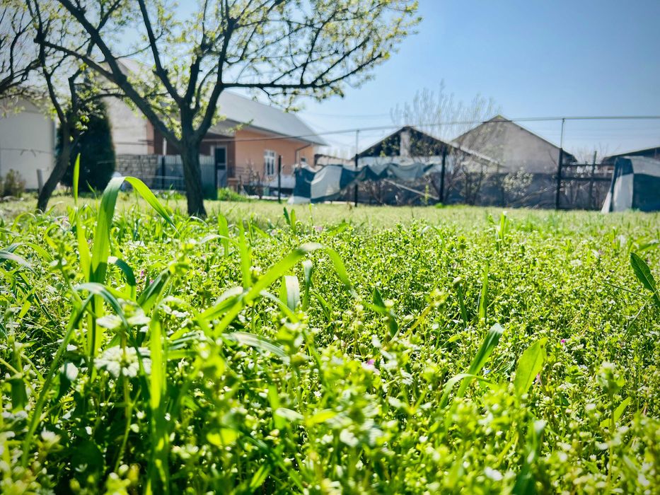 Дом на участке 15 соток. Мирзо Улугбекский район (Чингелди)