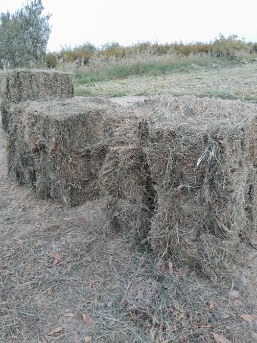 Pichan pres 80-90 sm lik, пчан прес 80-90см лик