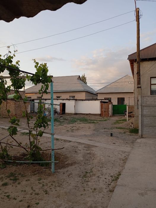 Жалгага уй узак мерзым