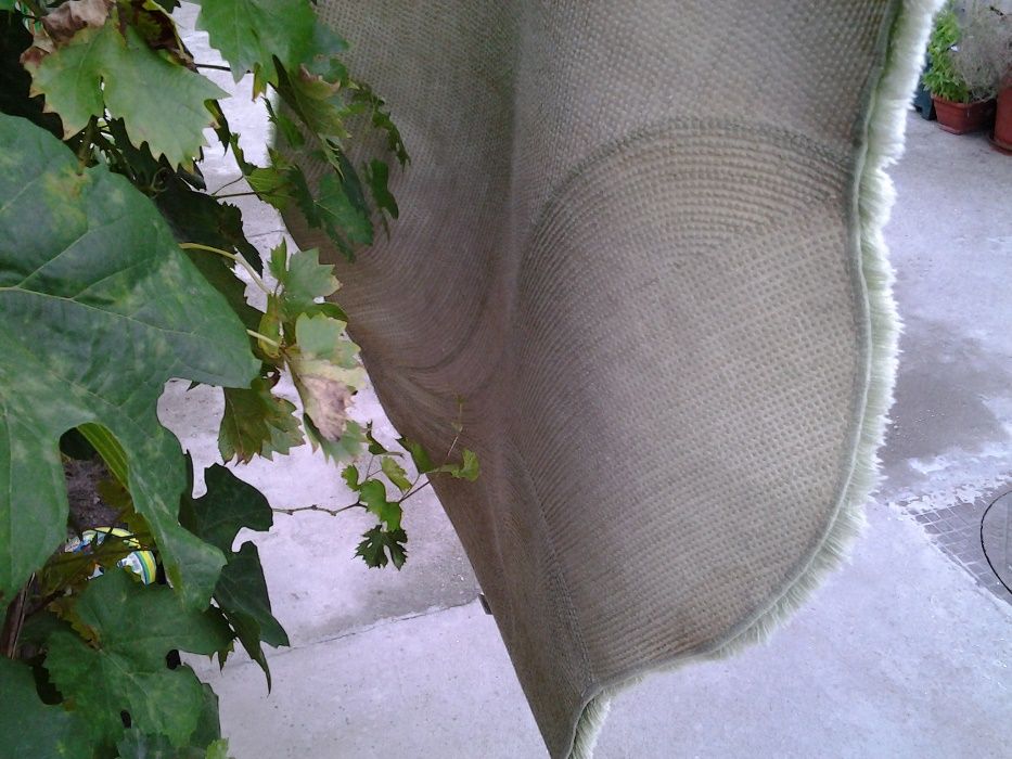 Batex | covor mic 160*92 cm