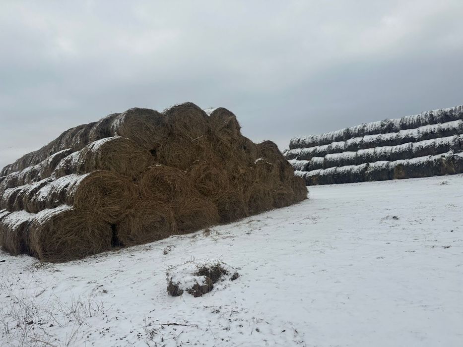 Продам сено рулонами