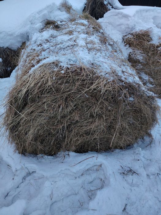 Рулон 300 кг 1 шт