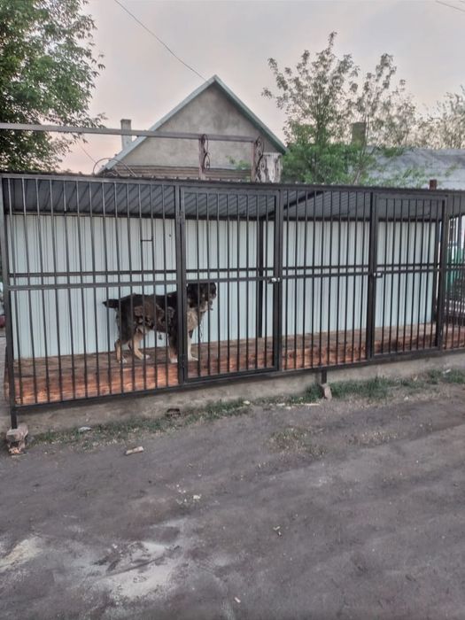 Вольеры для собак