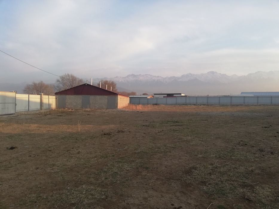 Фазенда для откорма на 60голов