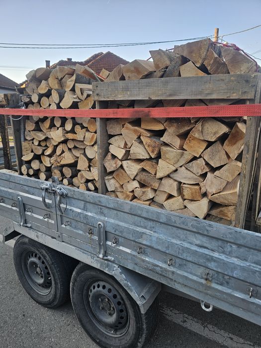 Lemn de foc! Esenta fag!