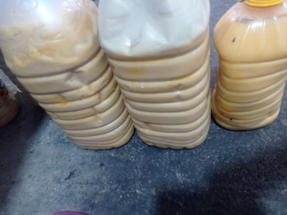 Илик ёғи оптом нархда