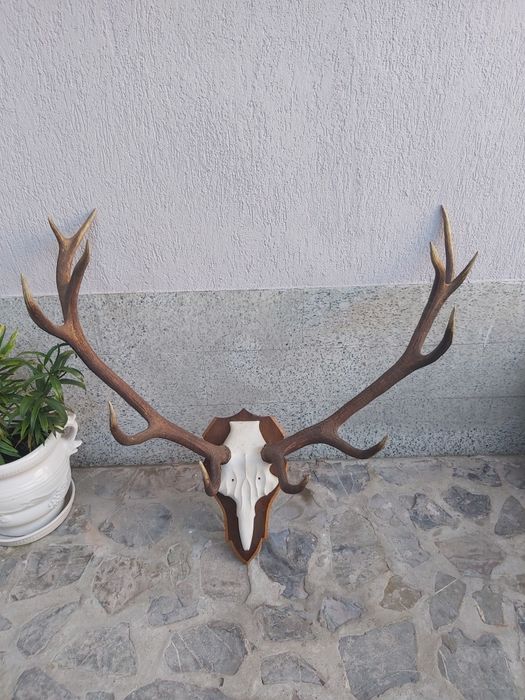Vand obiecte vechi, de antichitate