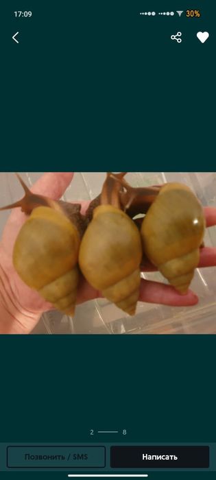 Оральды секс онлайн көру