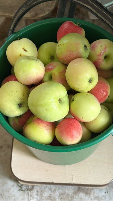 Продам дачу сад Здоровие