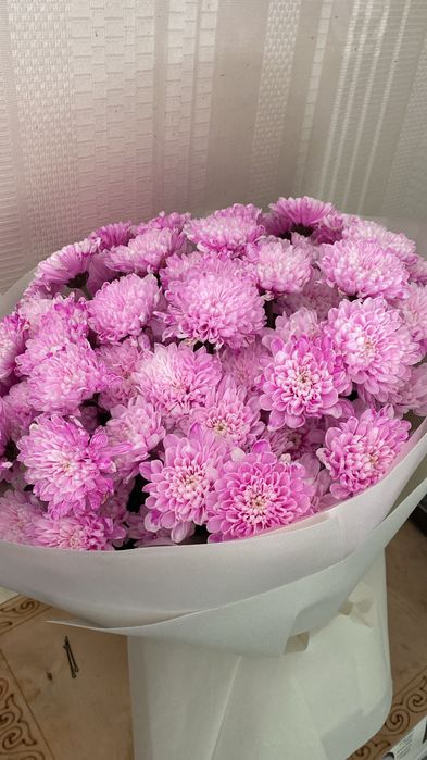 цветы гүл сатылады