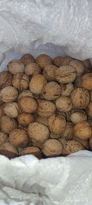 Продам грецкий орех