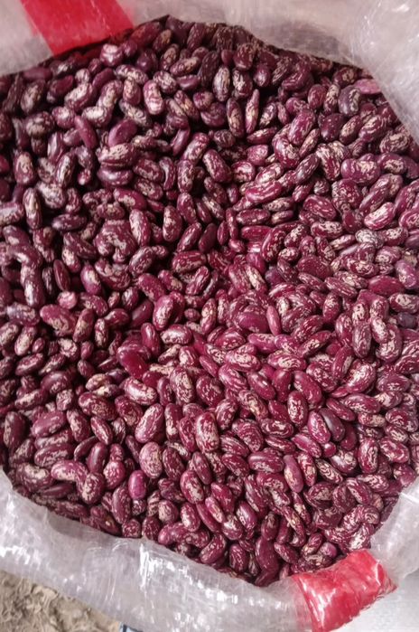 Продам рис Нут фасоль Маш