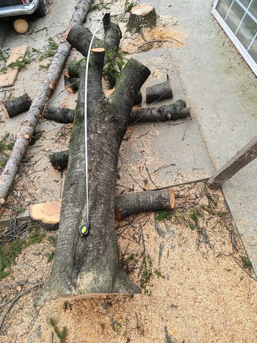 Buștean CIREȘ Masiv – Diametru 57 cm – Ideal pentru Blaturi Masă