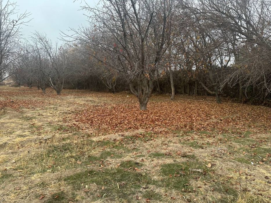 Quruq yer sotiladi 30 - Sotux Kibray Baytqo'rg'on da