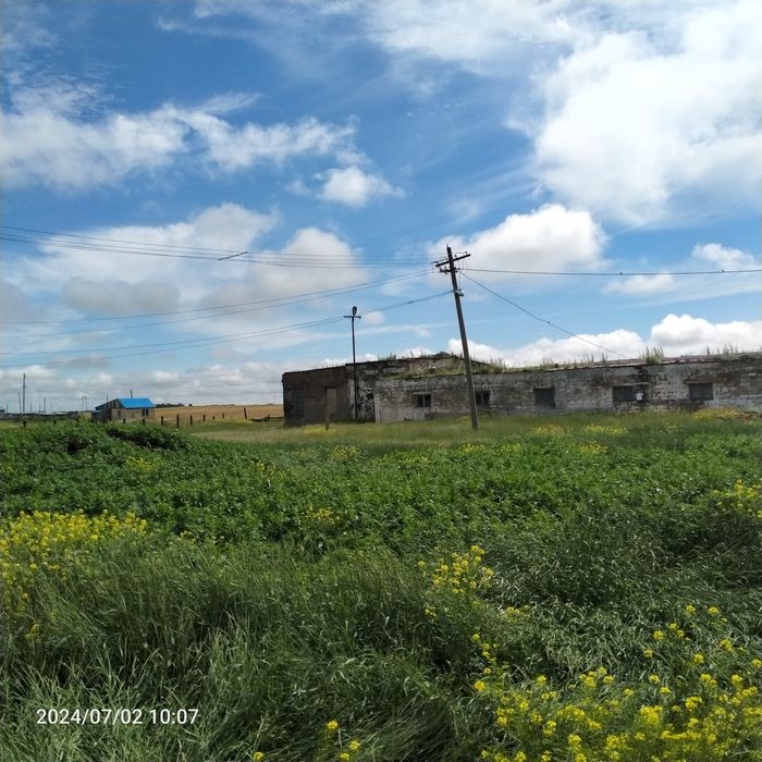 Подхоз в селе Чаглинка,  срочно, торг