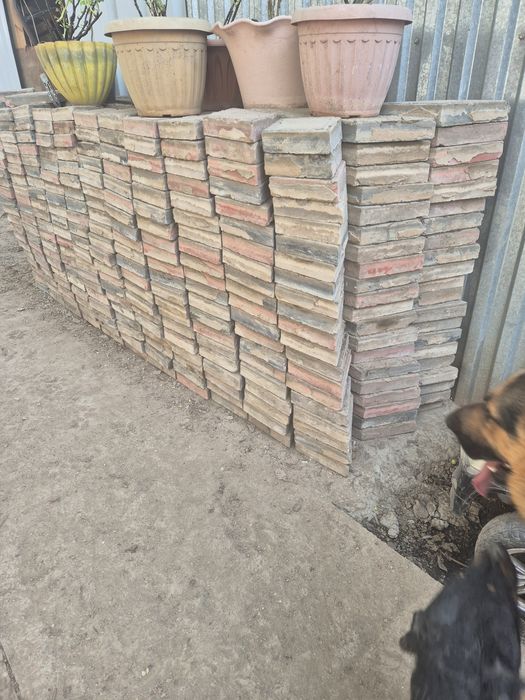 Брюсчатка  б у отдам бесплатно