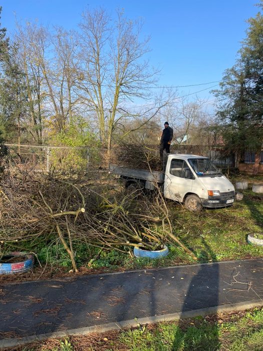 Ridicam resturi vegetale plus altlee