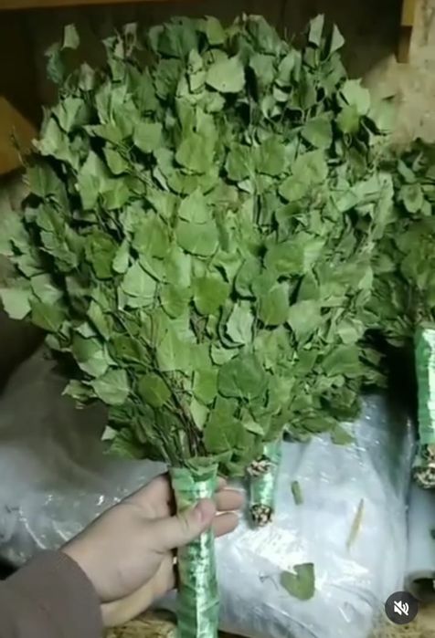 Берёзовые банные  веники