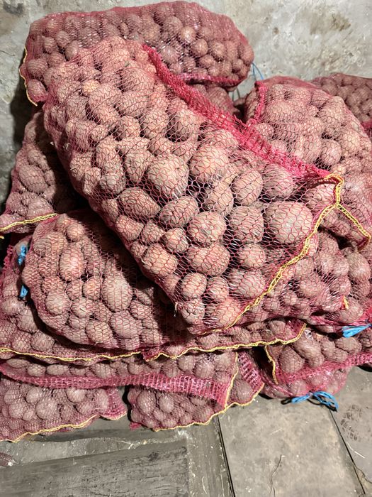 Cartofi pentru animale