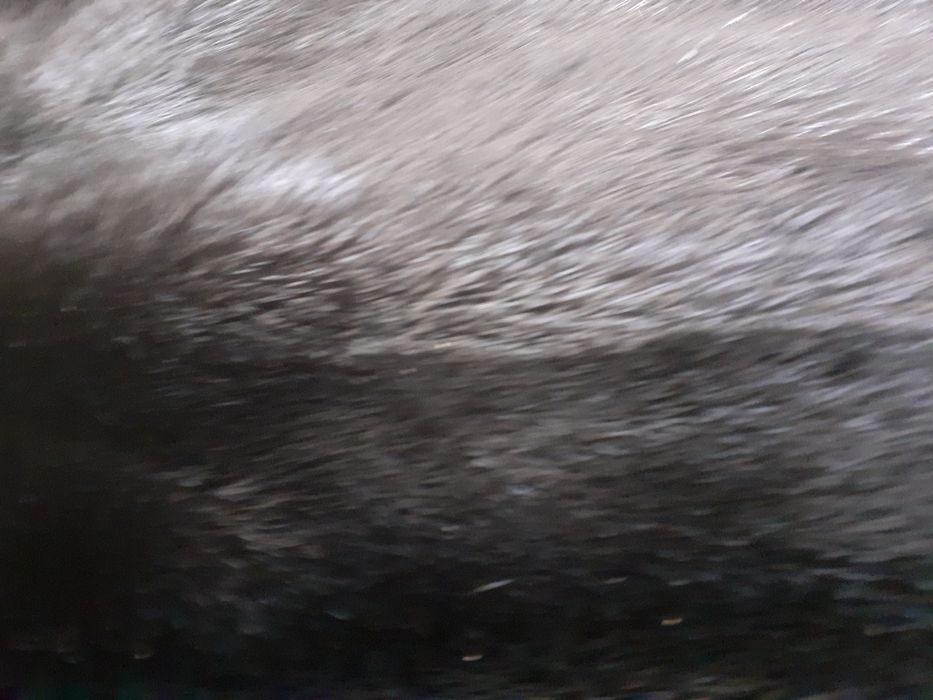 Продам норковую шубу