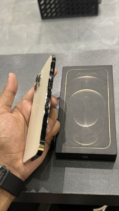 Iphone 12 Pro Max