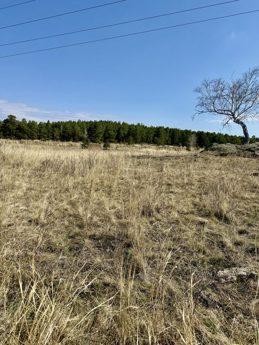 20соток, Ибрая 19