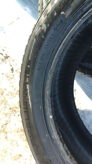 Шины нокиан хакапелита 10