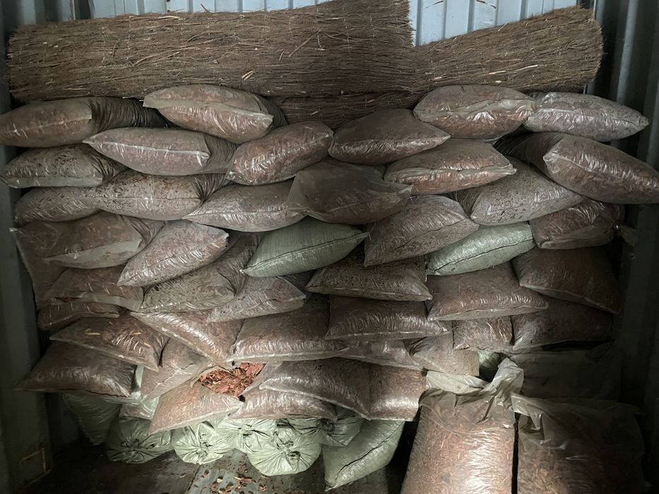 Кара сосны в мешках