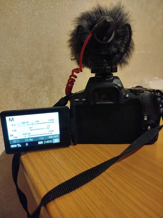 Canon 250d + RodeMicro