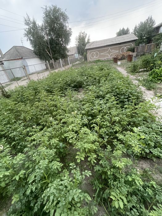 Продам дачи на Солнечной долине