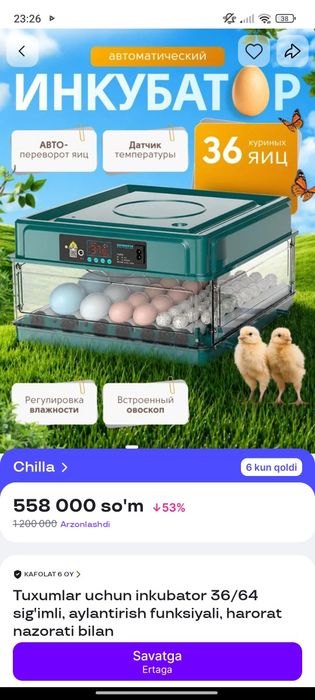 Inkubator 36talik