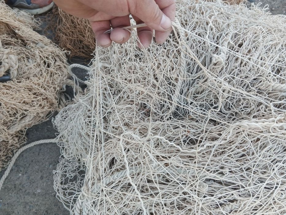 Балик тур сотилади