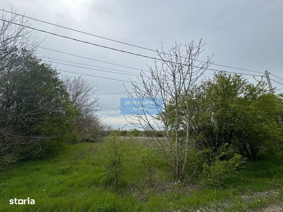 teren intravilan  sat Daia, județul Giurgiu,Dealul Florilor