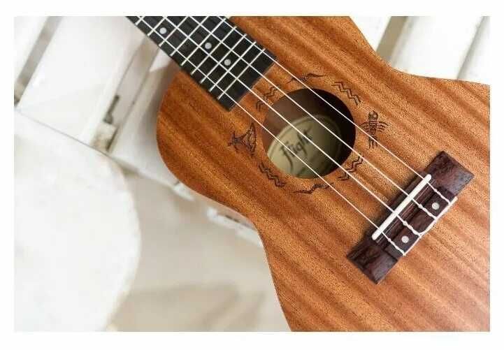 Укулеле[Flight NUC 310]