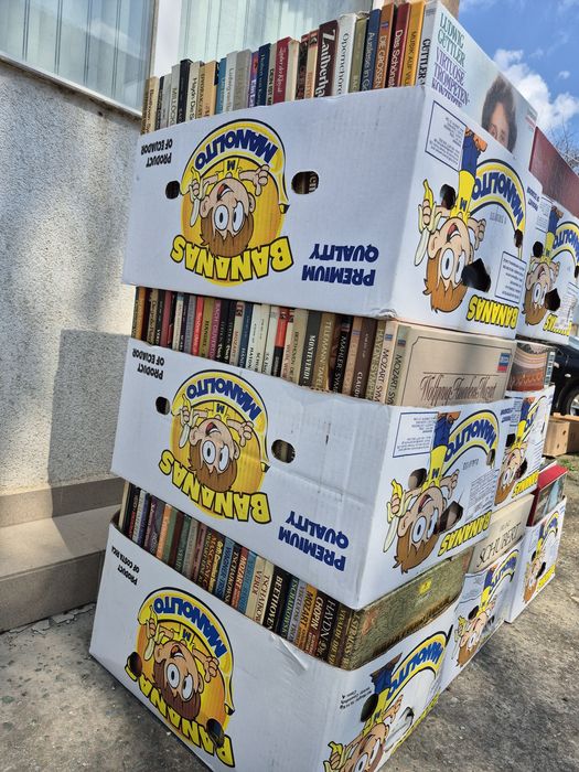 Lot 100 Discuri Vinil de colectie muzica clasica mixta Compozitori celebrii