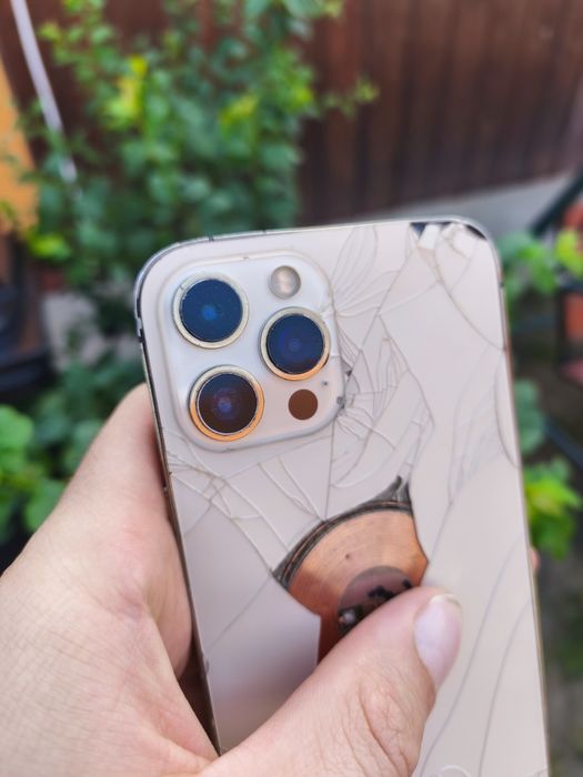 iPhone 12 pro max