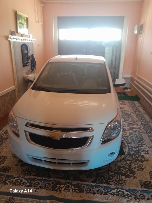 Coblt sotladi yili 2024