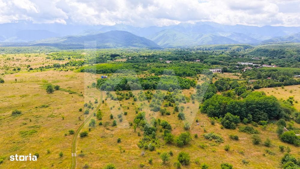 Teren extravilan de vanzare - Valea Avrigului, Sibiu