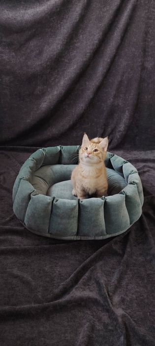 Лежанки для котиков