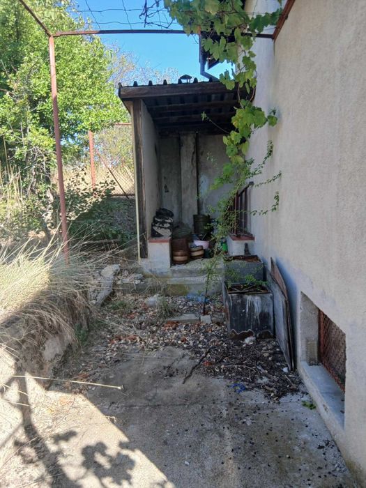 2бр. Вили в непосредствена близост.