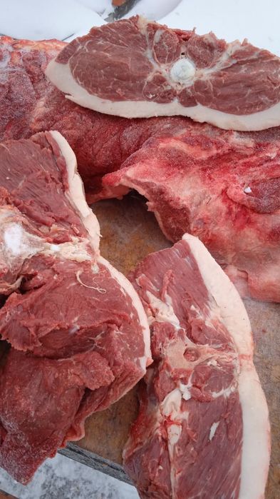 Мясо Кониный доставка бесплатно